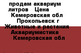 продам аквариум 110 литров › Цена ­ 3 500 - Кемеровская обл., Прокопьевск г. Животные и растения » Аквариумистика   . Кемеровская обл.